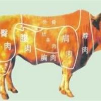 冷冻牛后腿肉 牛脑 牛苦胆批发